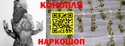 крисы Беслан