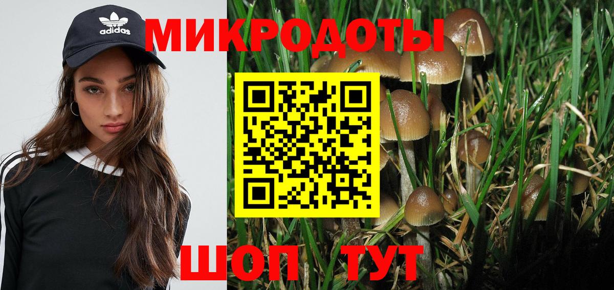 Псилоцибиновые грибы Cubensis Ишим